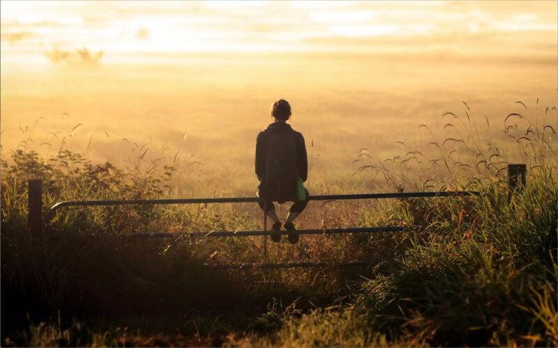 Nhật ký Ý tưởng thị trường trong giờ giao dịch #02/03/2023