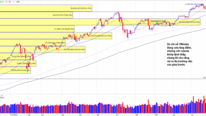 Danh mục cổ phiếu 23/11/2021 - Có nên tổng kết năm sớm