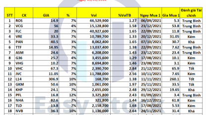 Danh mục chứng khoán 05/01/2022 - VNINDEX vượt trội so với thị trường toàn cầu năm 2021
