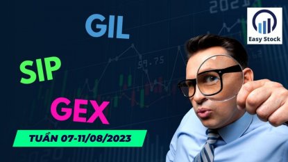 Ý TƯỞNG THỊ TRƯỜNG CHỨNG KHOÁN 07-11/08/2023: CỔ PHIẾU ĐIỀU CHỈNH GIẢM NHƯNG VNINDEX KHÔNG GIẢM