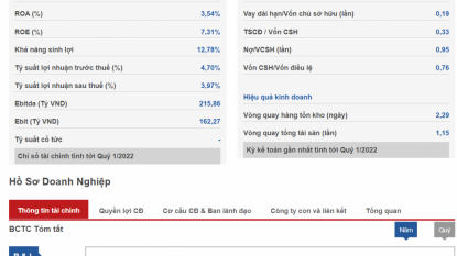 Cổ phiếu CMX - Công ty Cổ phần Camimex Group (HOSE)